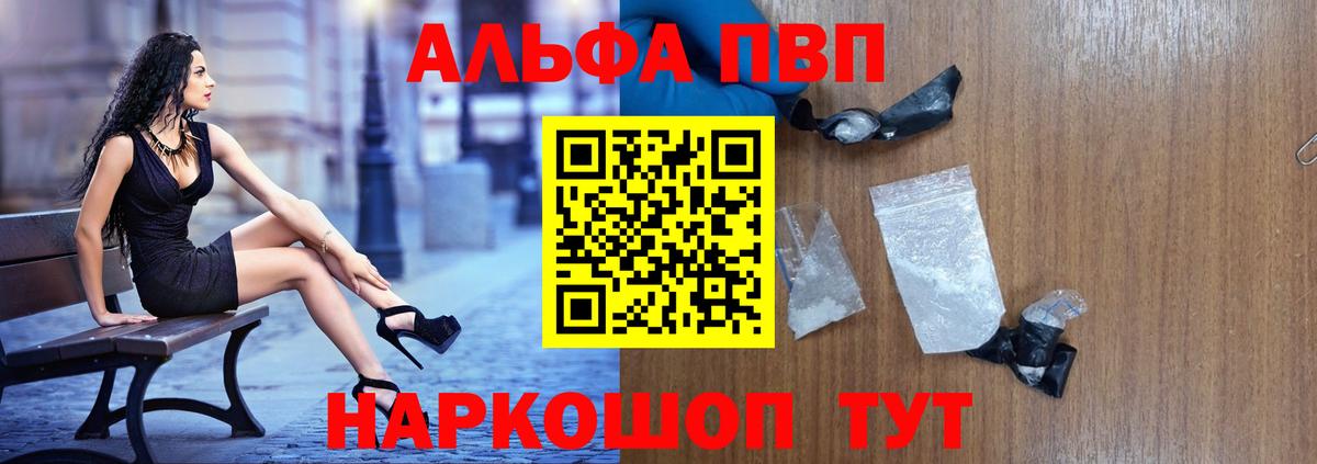 МЕФ Санкт-Петербург