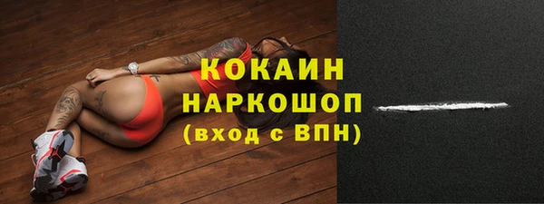 индика Осинники