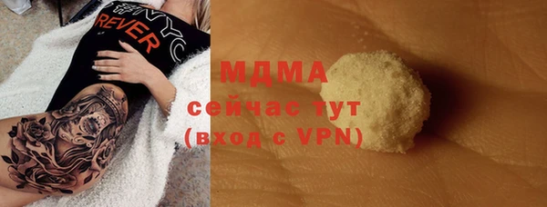 индика Осинники