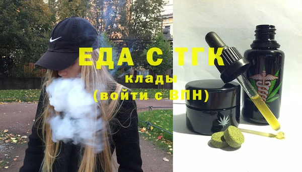 индика Осинники