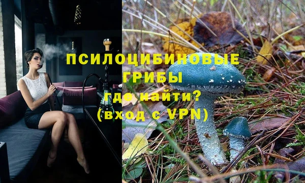 индика Осинники