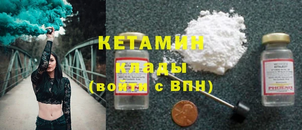 индика Осинники