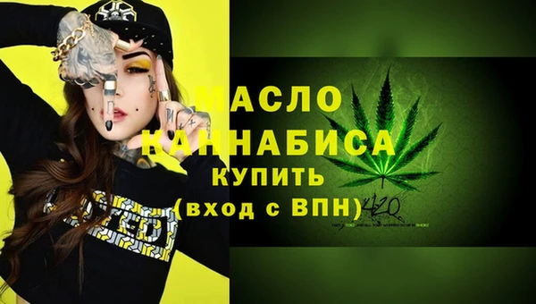 индика Осинники