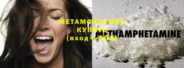 индика Осинники