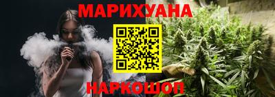 спиды Гатчина