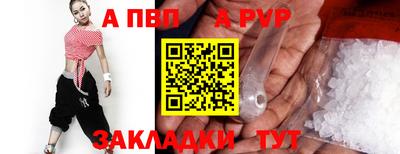 спиды Гатчина