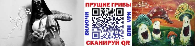 наркота Санкт-Петербург МЕГА ССЫЛКА Галлюциногенные грибы ЛСД