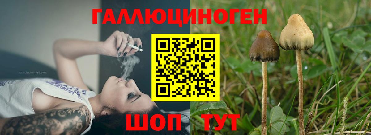 Галлюциногенные грибы мухоморы Санкт-Петербург